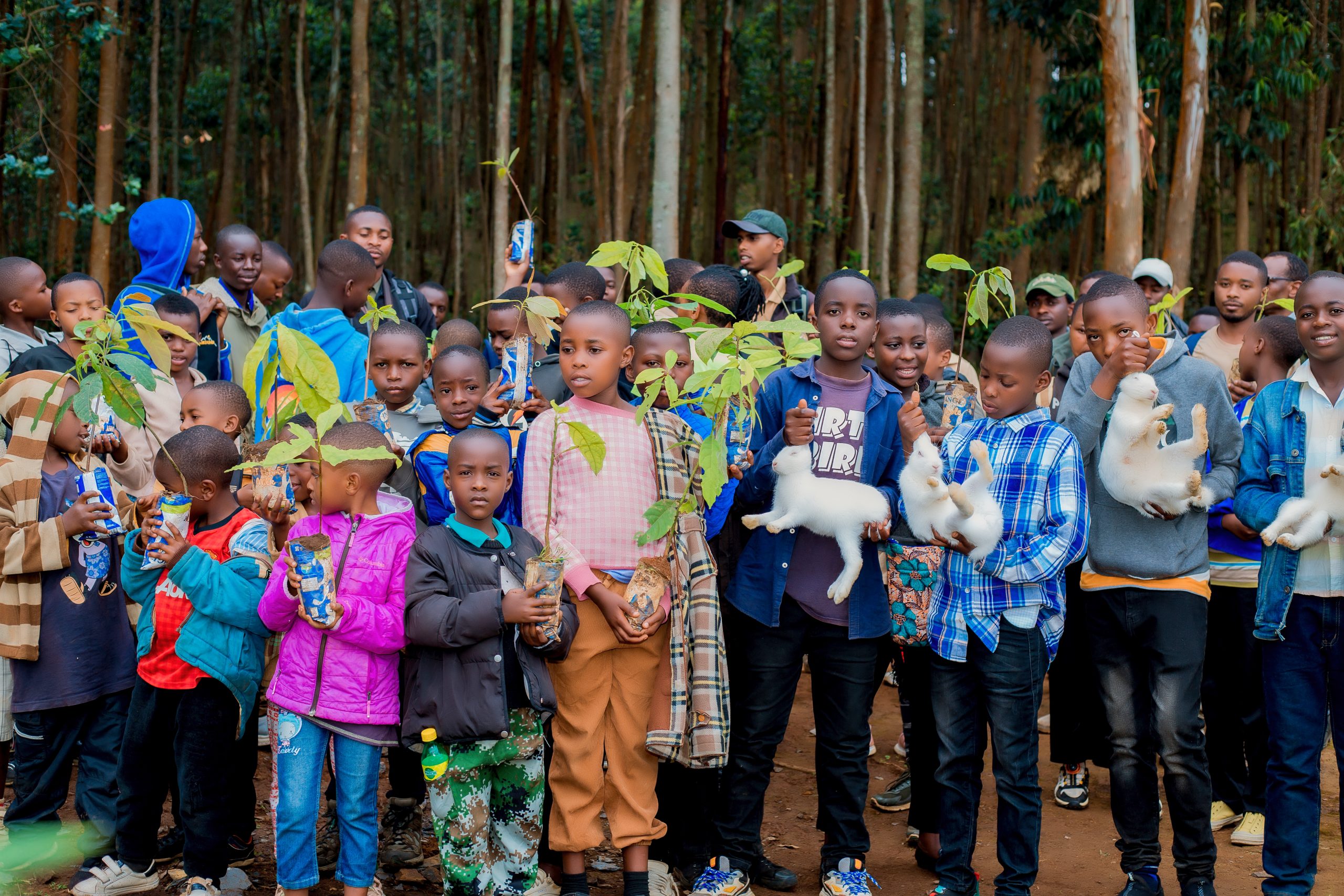 "One Rabbit, One Tree per Child" teaches kids responsibility and conservation by having them care for a rabbit and plant a tree.
